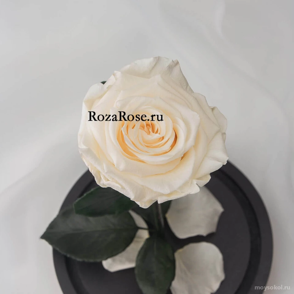 Интернет-магазин RozaRose Изображение 1