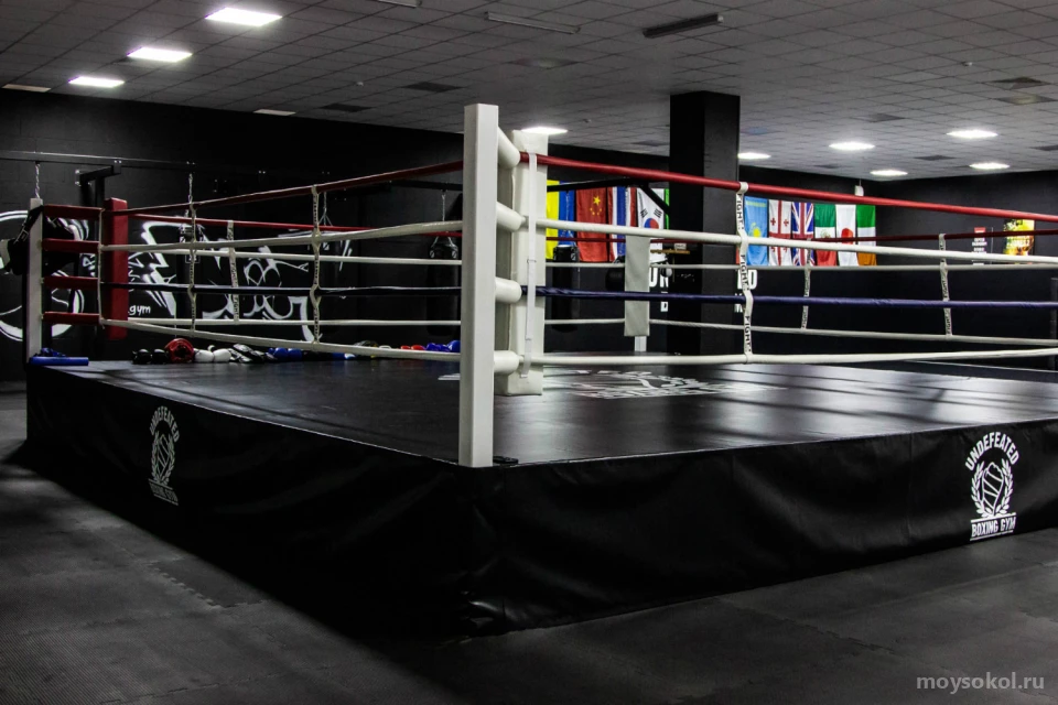 Клуб единоборств Undefeated Boxing Gym Изображение 2