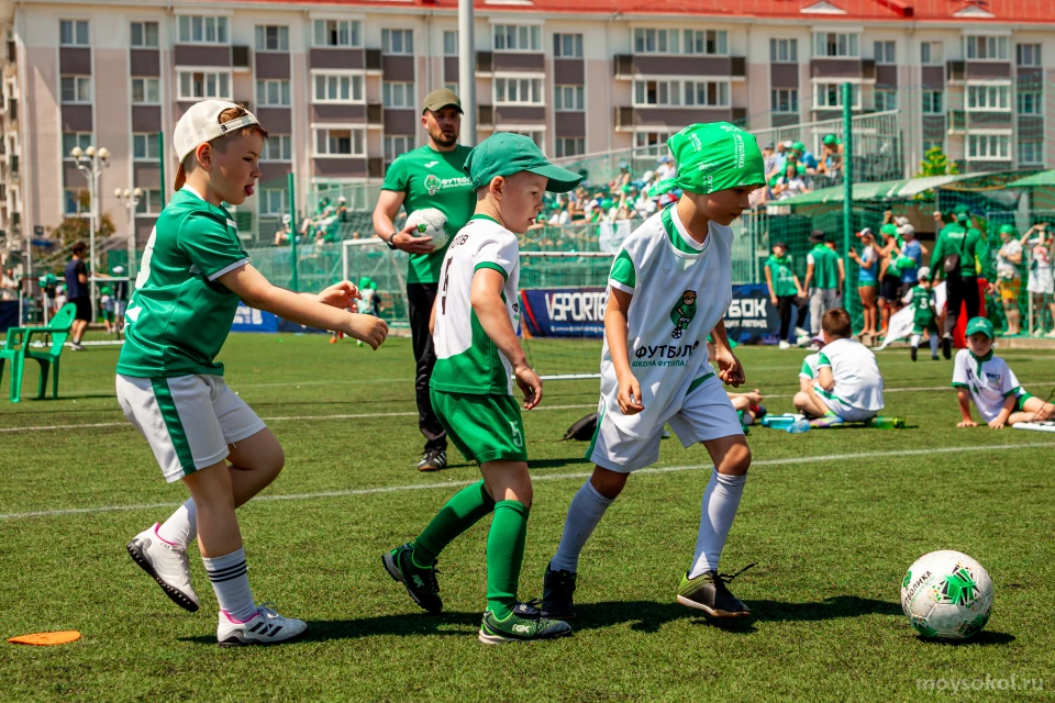 Школа футбола для детей Футболика на улице Панфилова Изображение 1