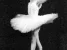 Школа-студия балета и хореографии Balleta Изображение 5