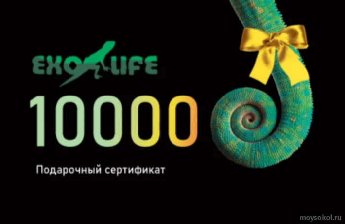 Подарочные сертификаты на сумму от 1000 до 10000 рублей